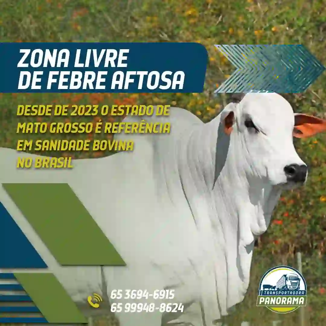Mato Grosso: Zona Livre de Febre Aftosa!