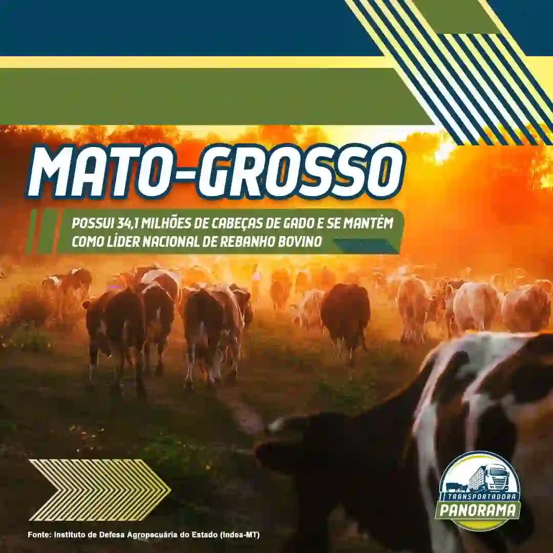 Líder Nacional De Rebanho Bovino!