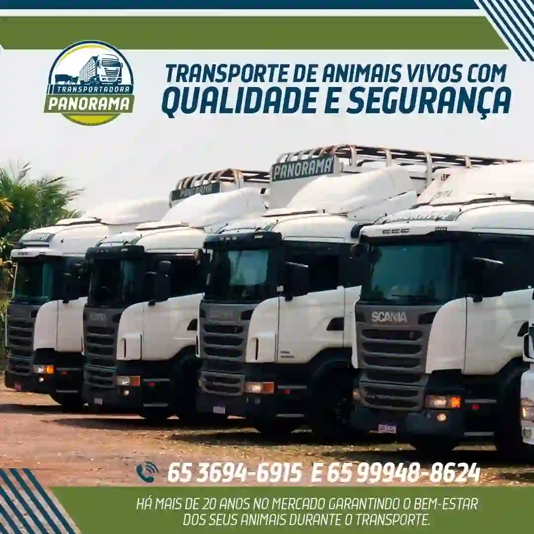Transporte de Animais Vivos com Qualidade e Segurança!